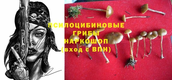 a pvp Армянск
