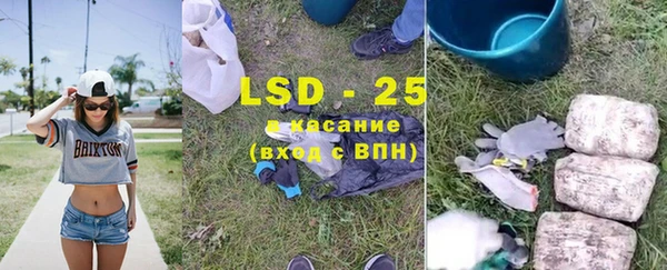 эйфоретик Ельня
