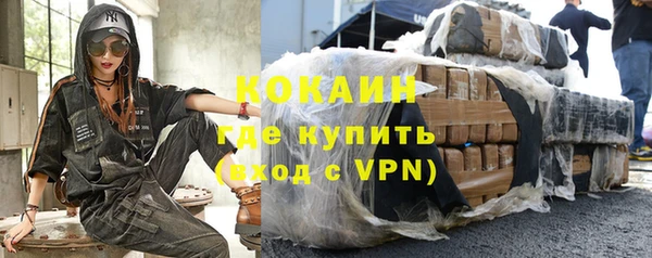 шишки Аркадак
