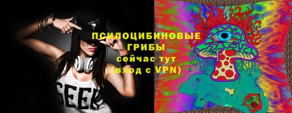 шишки Аркадак