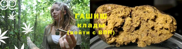шишки Аркадак