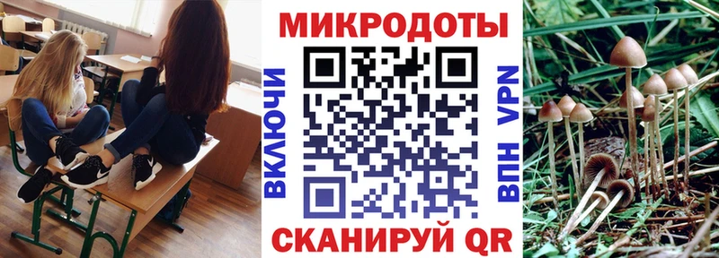 hydra как войти  Теберда  Галлюциногенные грибы Magic Shrooms  где найти наркотики 